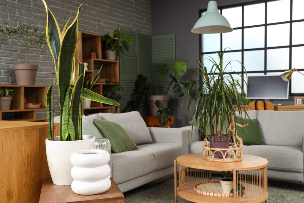 バイオフィリックデザインとは？インテリアコーディネーターが知るべき魅力のアイキャッチ画像